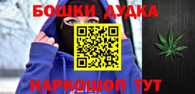 прущие грибы Нальчик