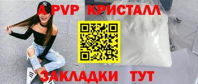 прущие грибы Нальчик